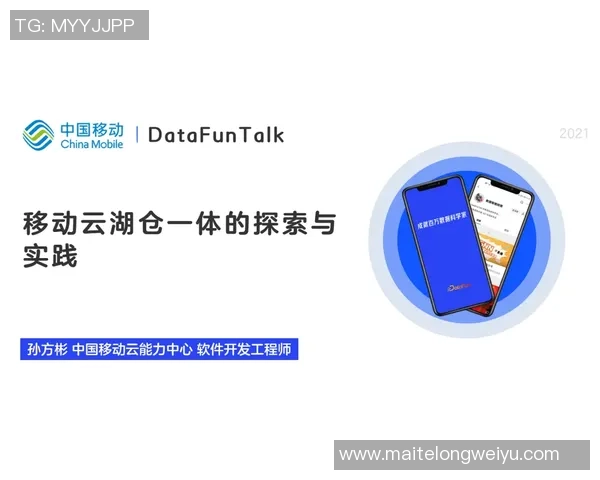 在VS窗体设计中实现动态移动小球的趣味项目探索与实践