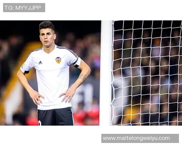 坎塞洛在赛场上的精彩表现与未来发展潜力分析