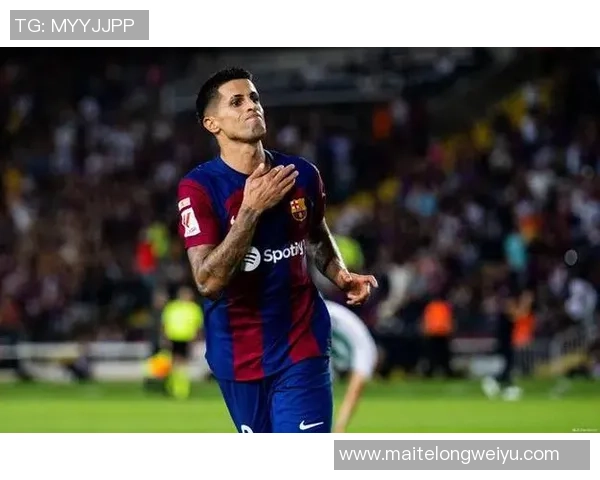 坎塞洛的足球之路：从天才少年到世界级后卫的成长历程与成就分析