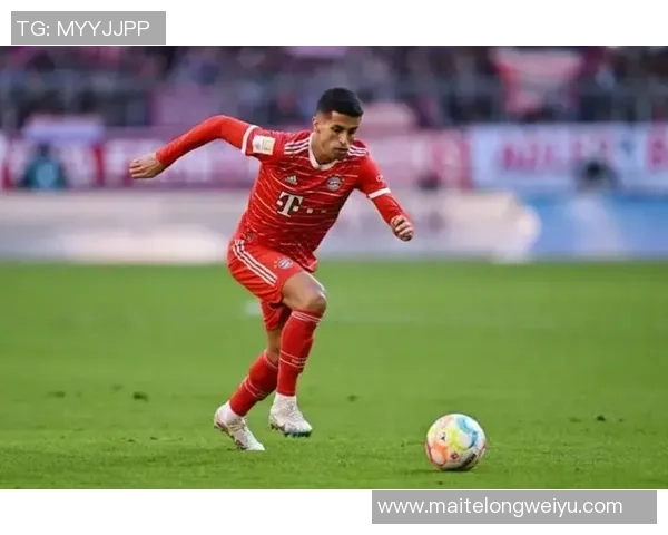 坎塞洛在足球场上的华丽转身与战术智慧解析